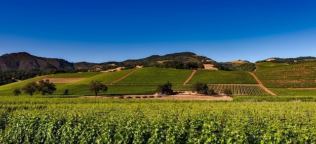 108 Napa Valley vineyards-1590014_640.jpg