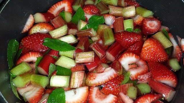 107 rhubarb-2653146_640.jpg