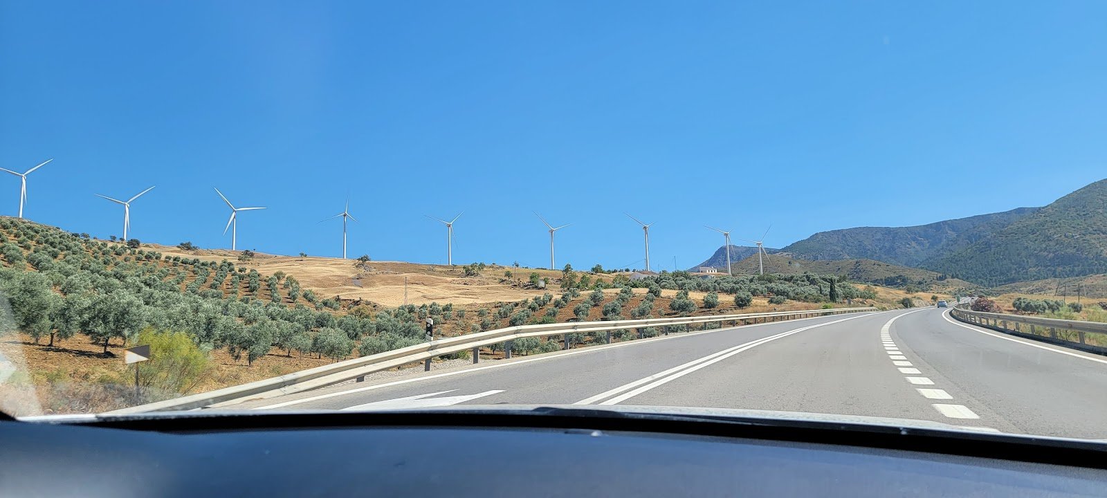 104 windmills.jpg