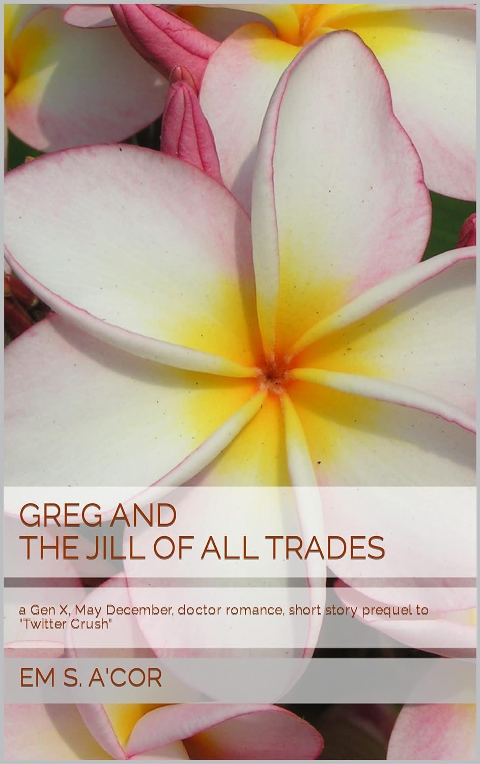 003a Em S Acor g and the Jill of All Trades.jpg (Copy) (Copy)