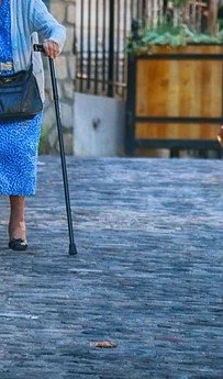 110 no11 cane old-age-4684329_640.jpg