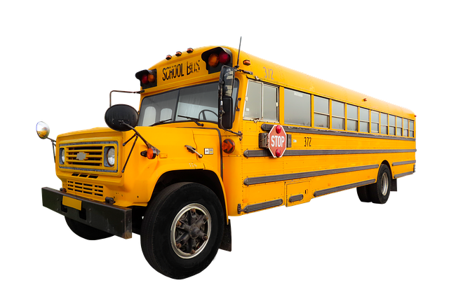 110 no12 bus transport-4405087_640.png