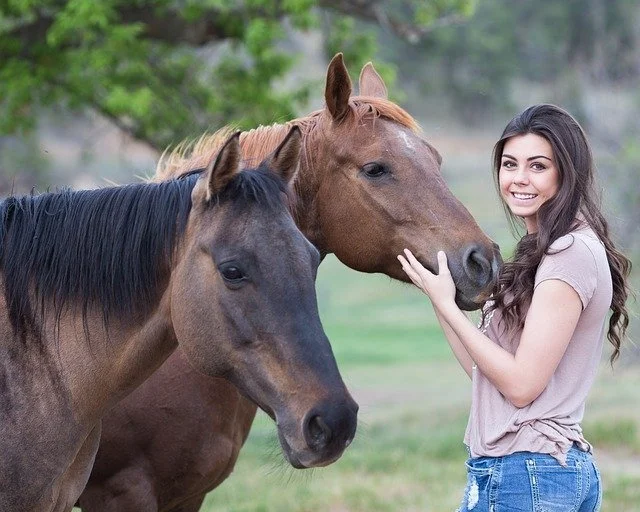horses-1996285_640.jpg