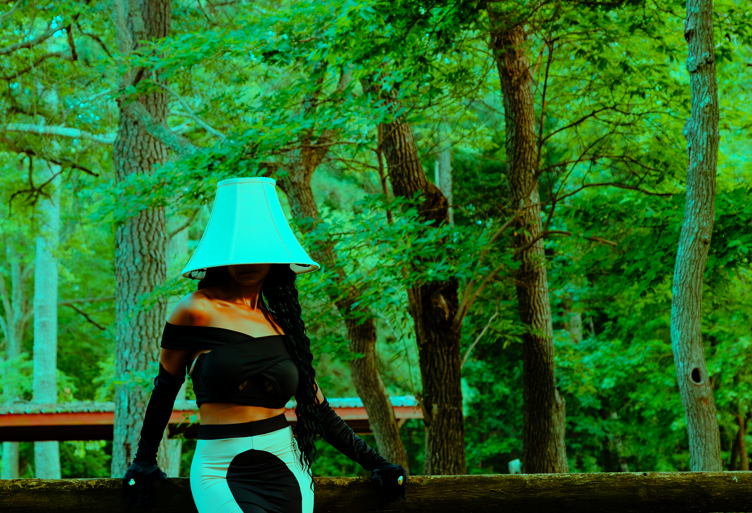 TM Shady Lamp 8.png