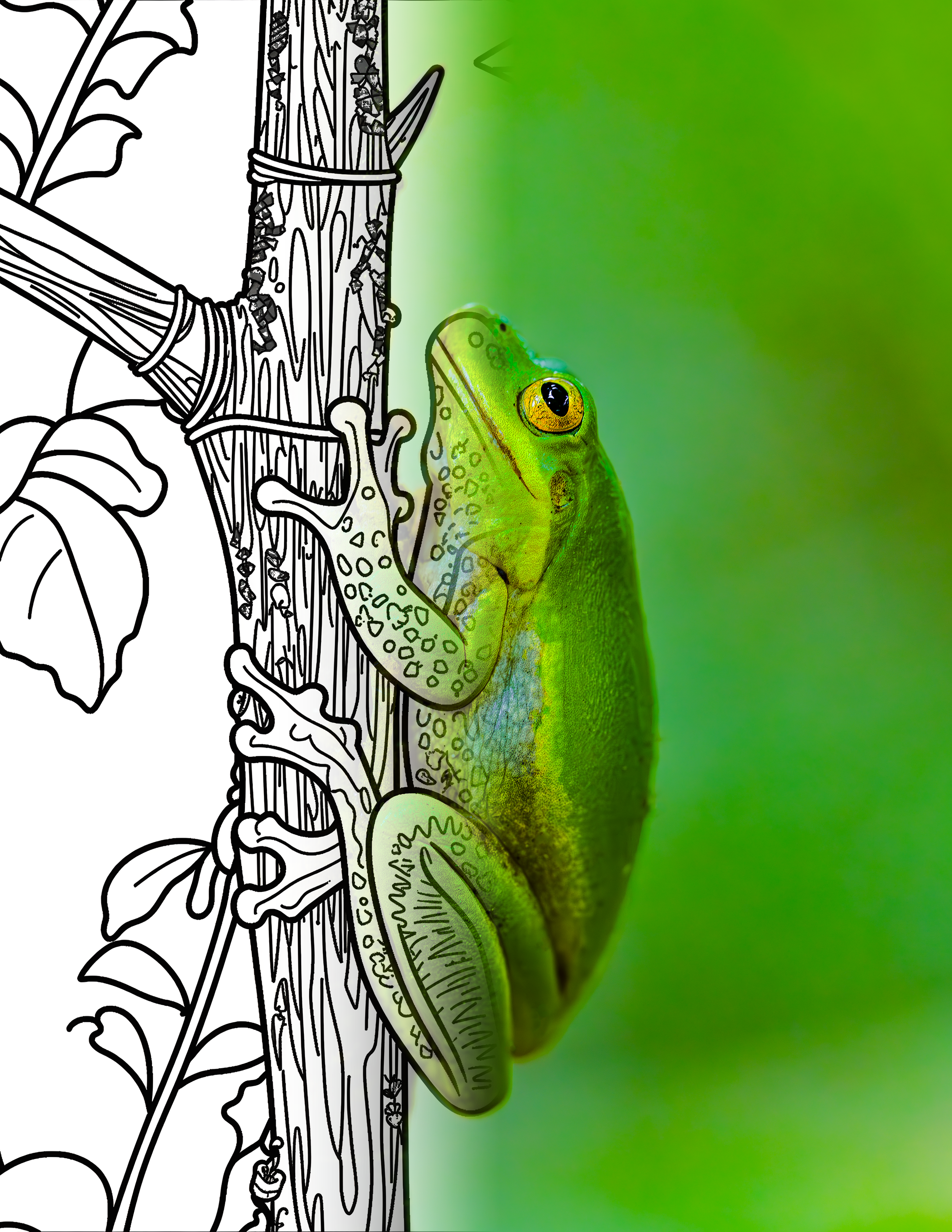 Charleston Frog Design Mix.png