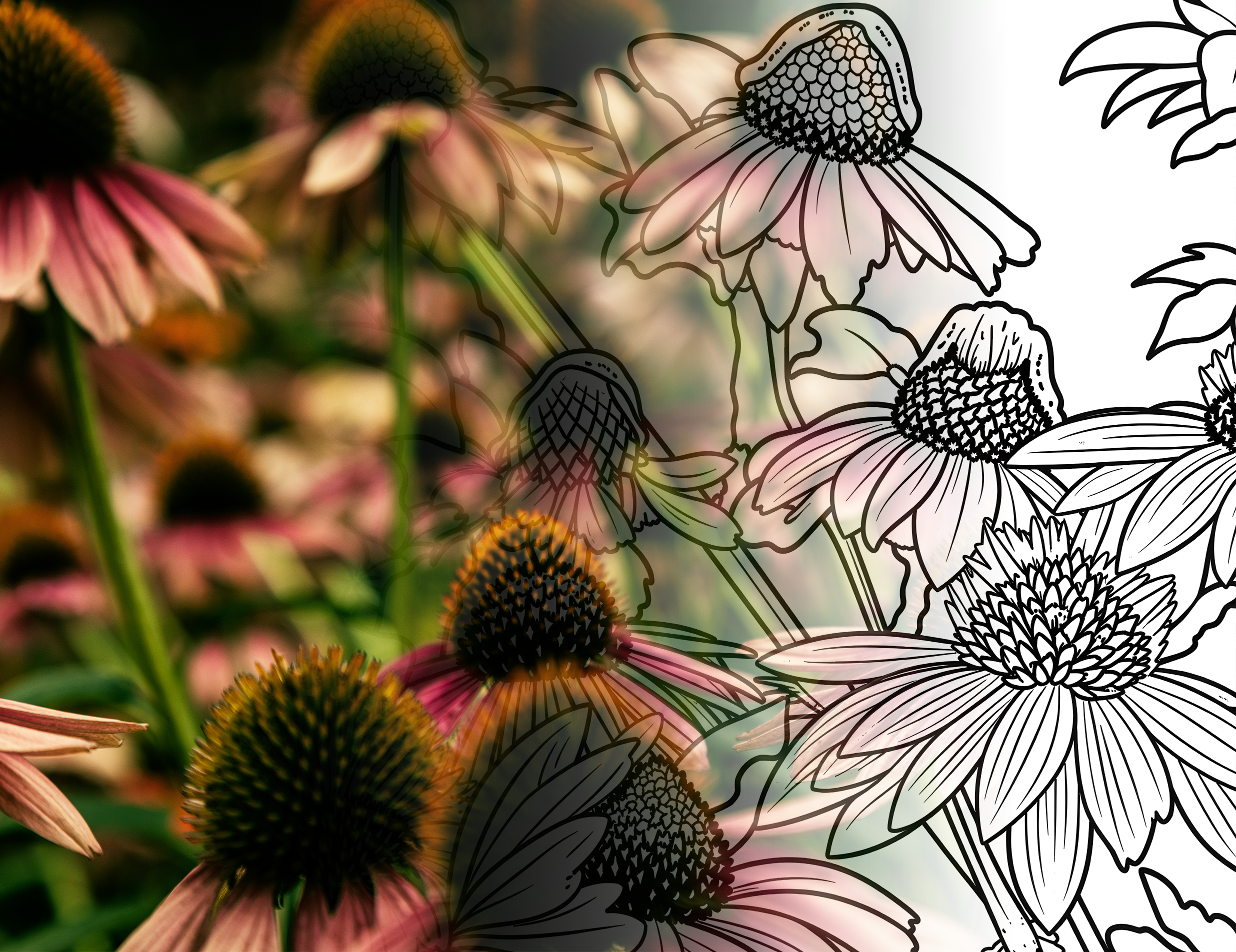 Field of Flowers Design mix.png