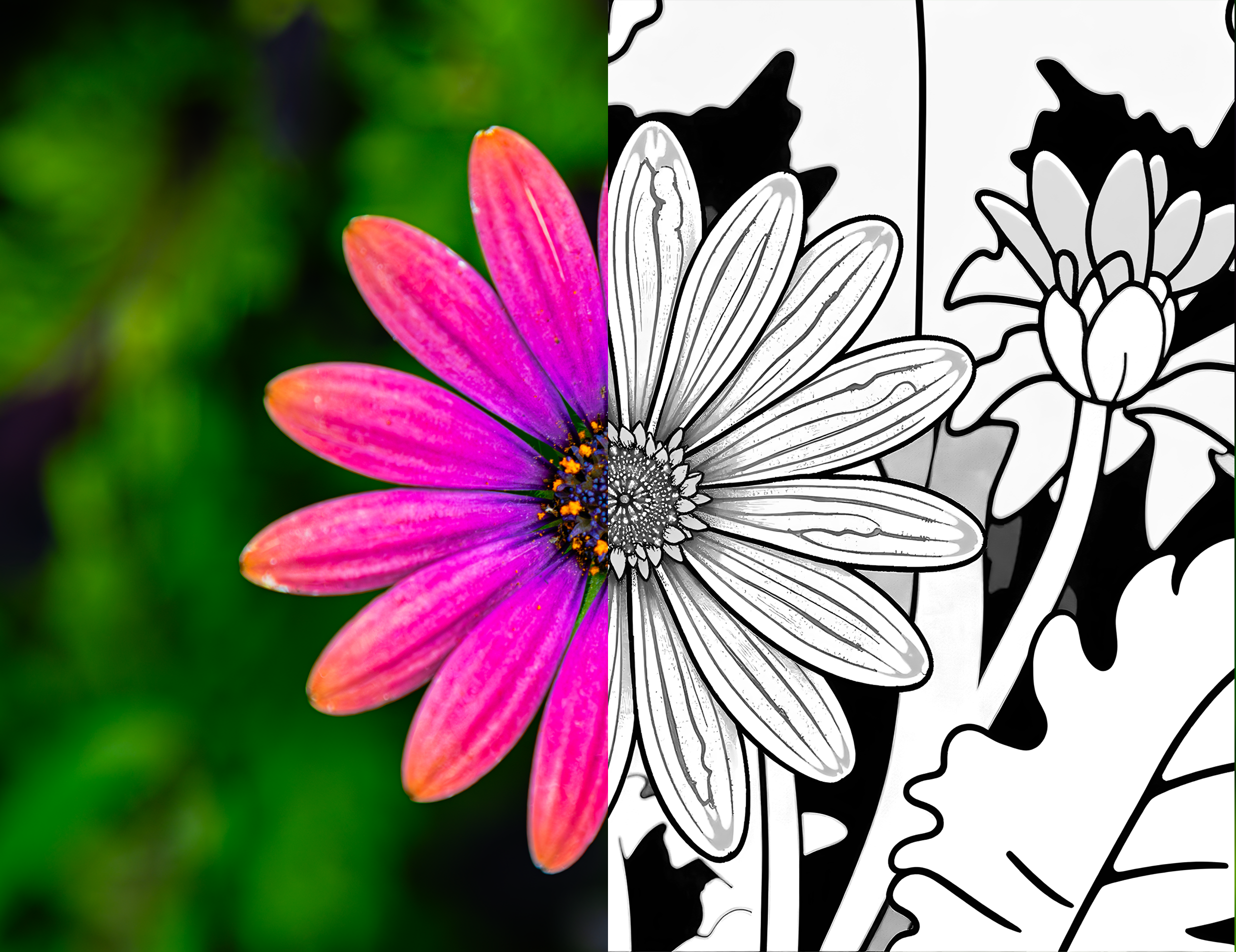 Pink and Purple Flower Design Mix.png