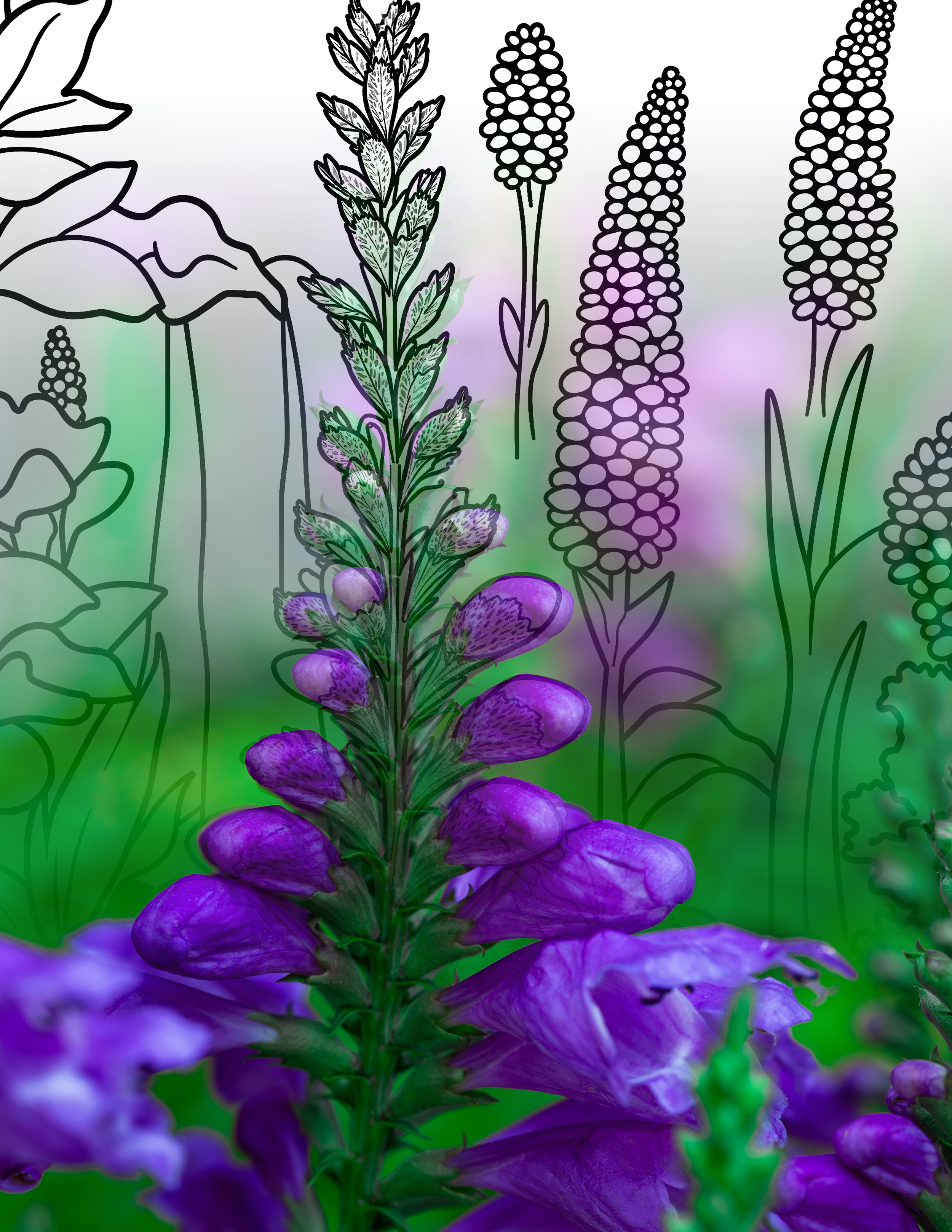 Purple Flower Design Mix.png