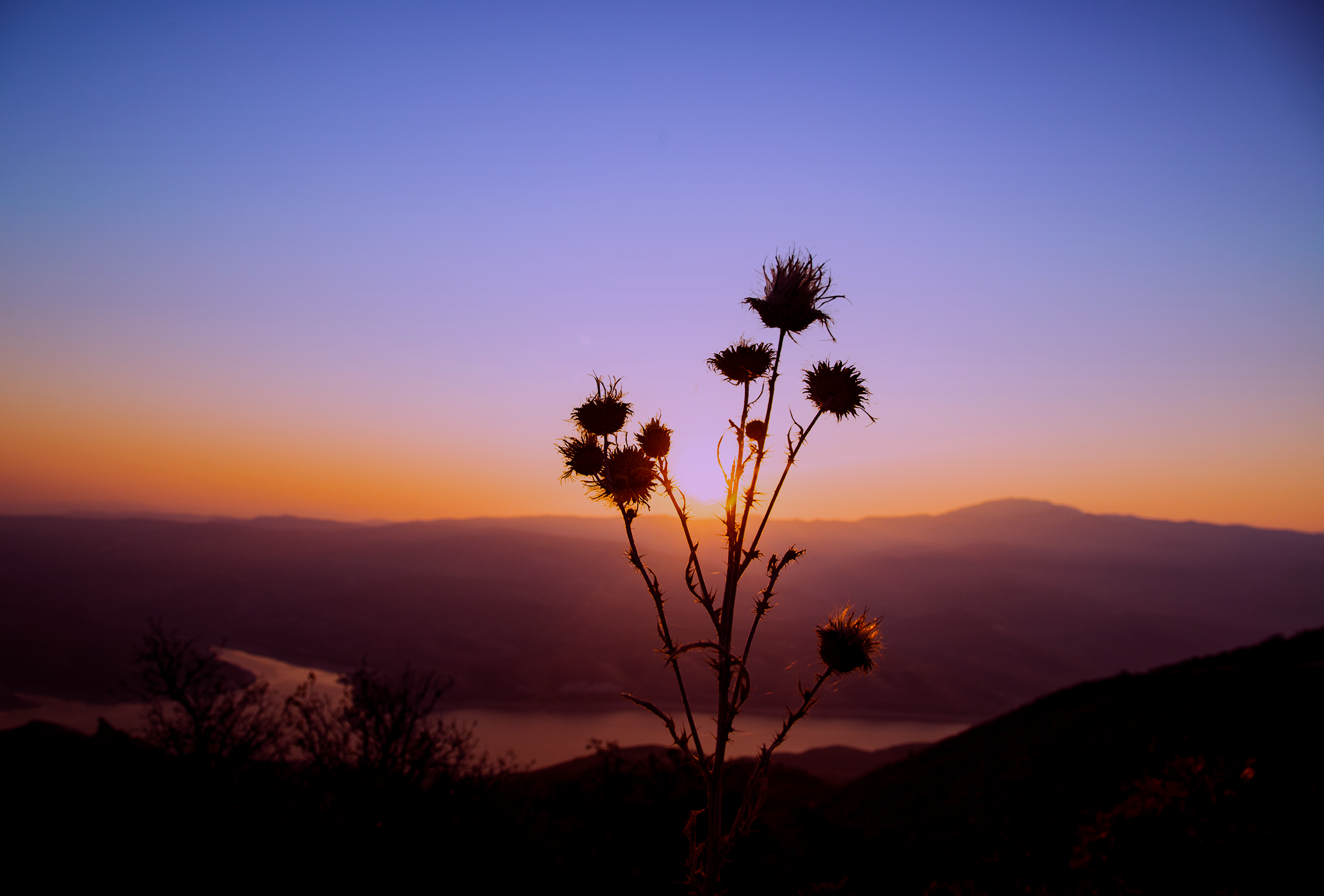 Top of the Mountion Brush.png