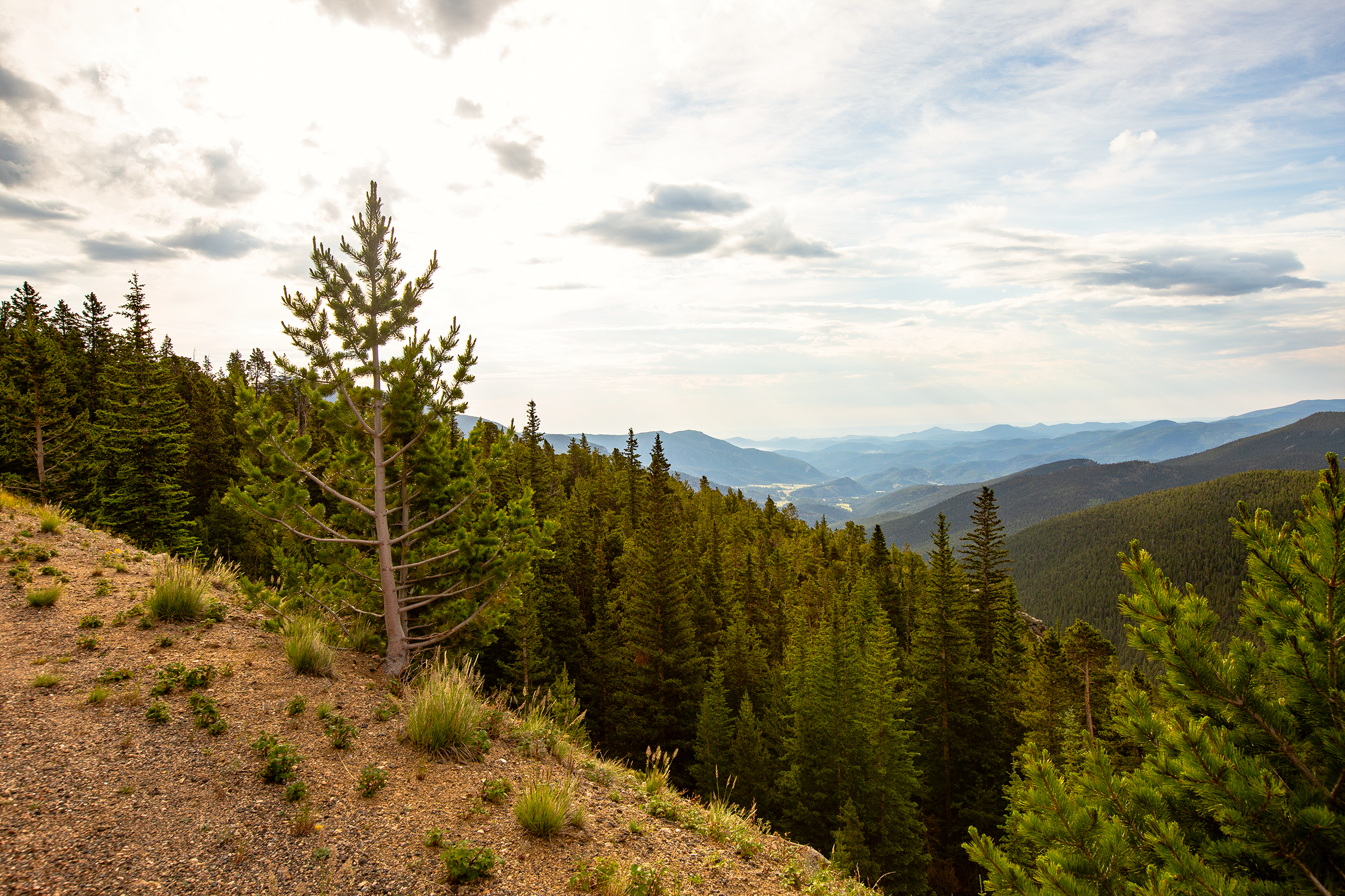 Cliff side in Denver.png