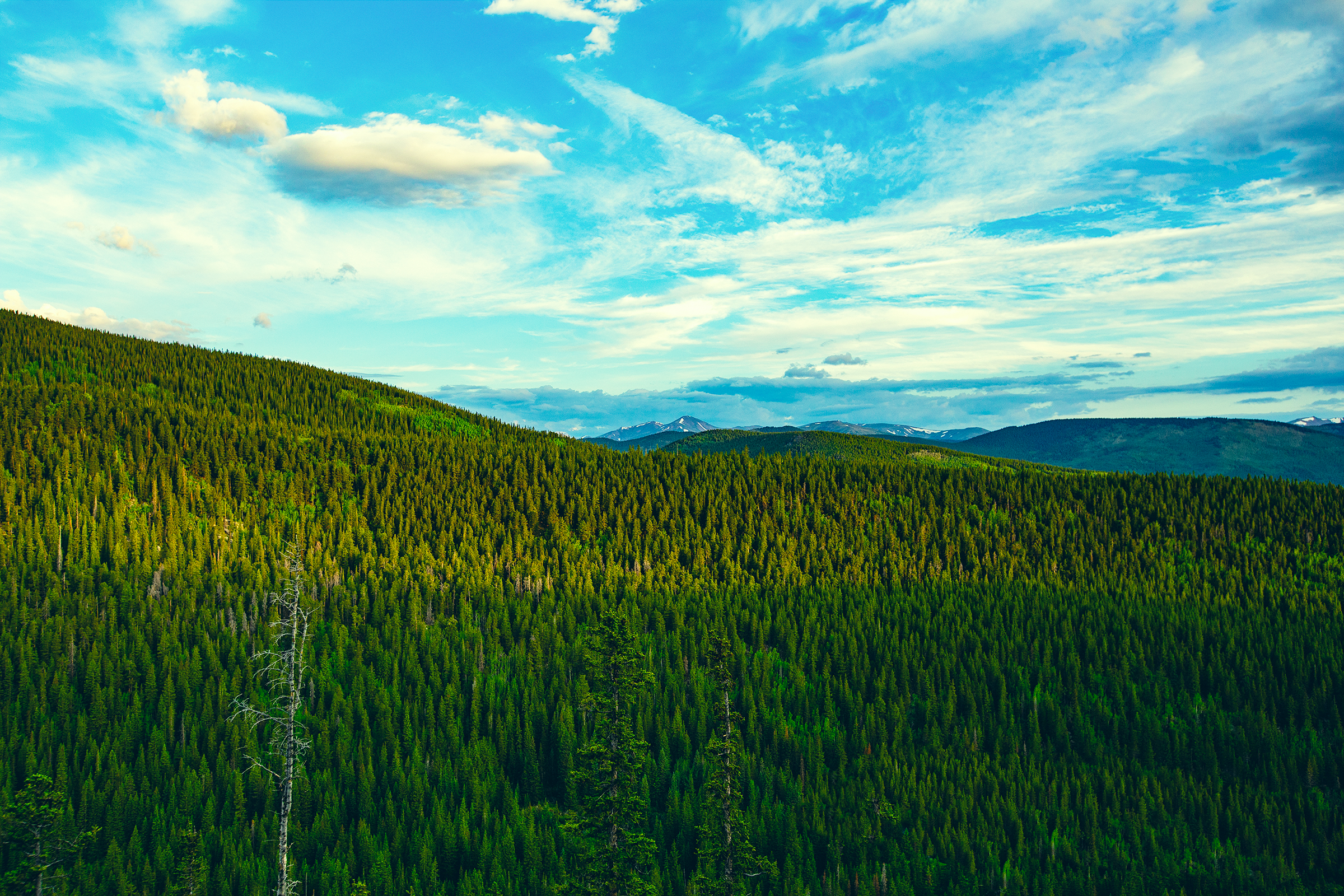 Denver Moutian View.png