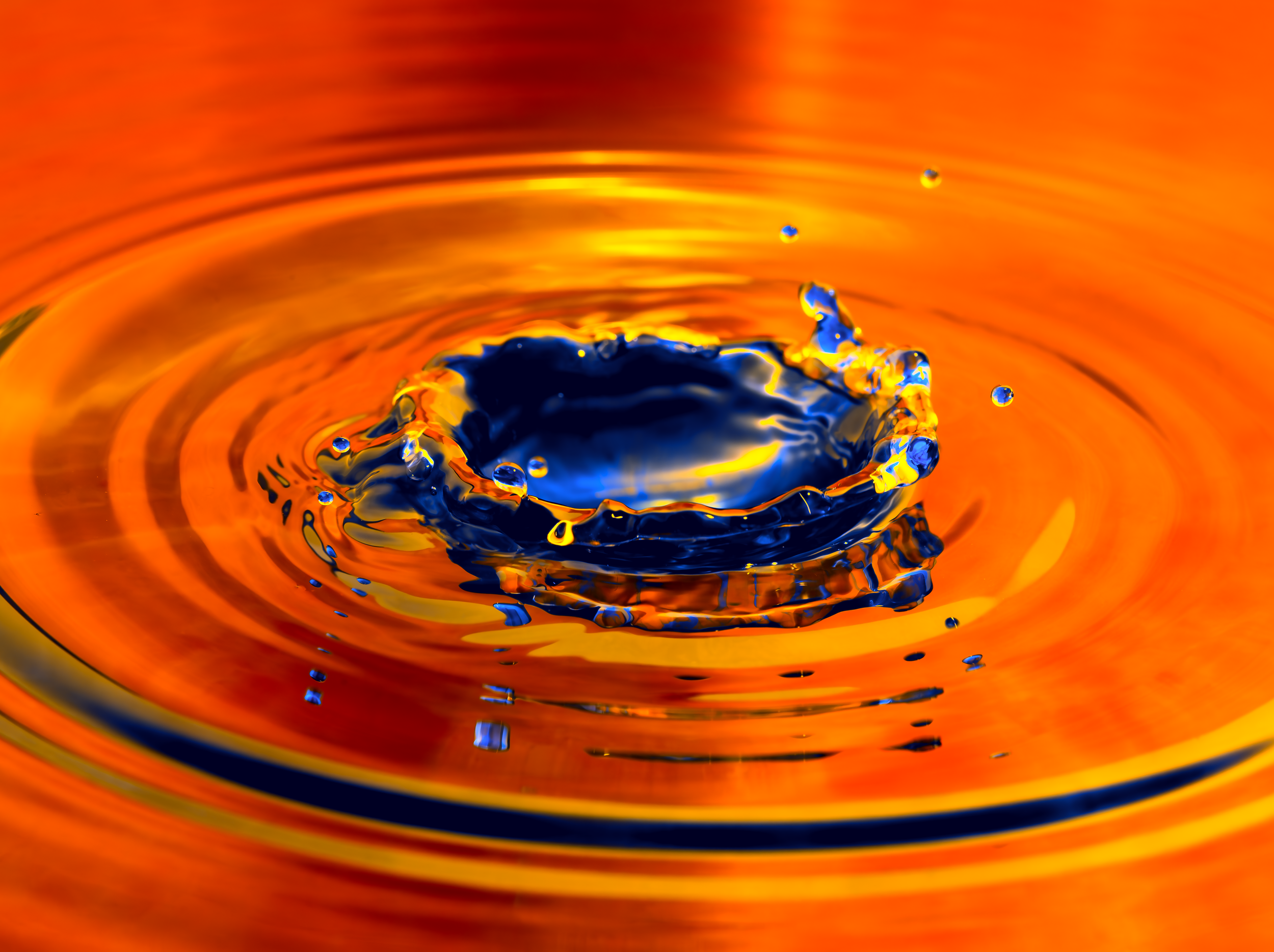 Splash Orange Green 4 for print.png
