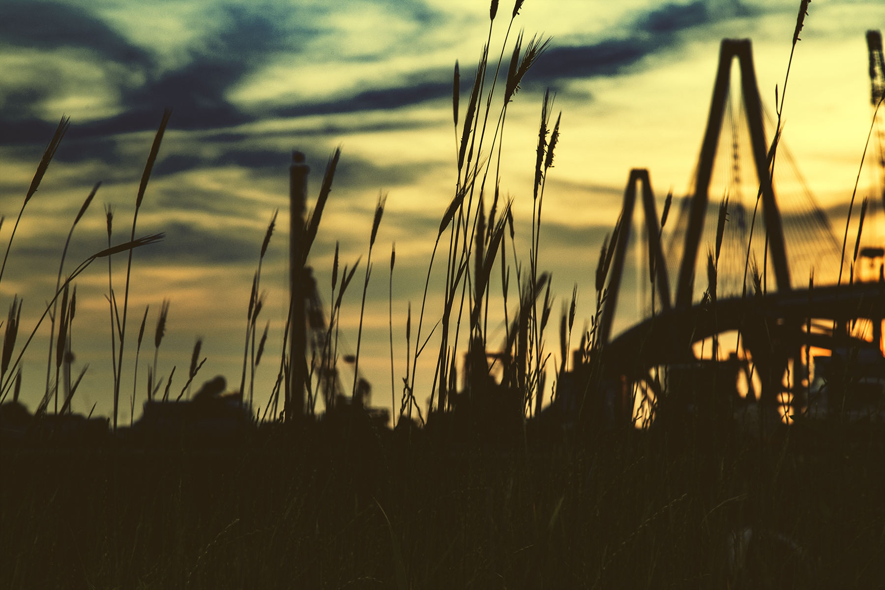 Charleston sunset brush.png