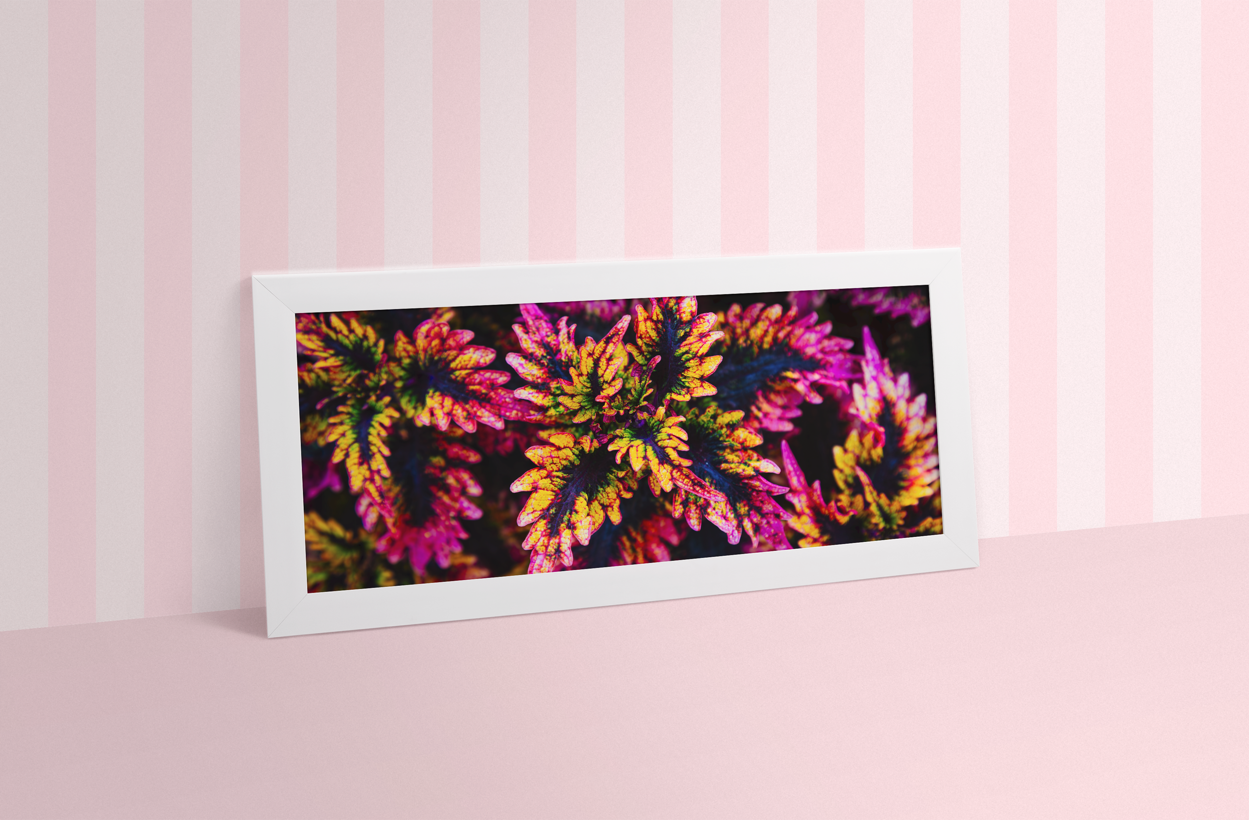 pink plant in pink room.png