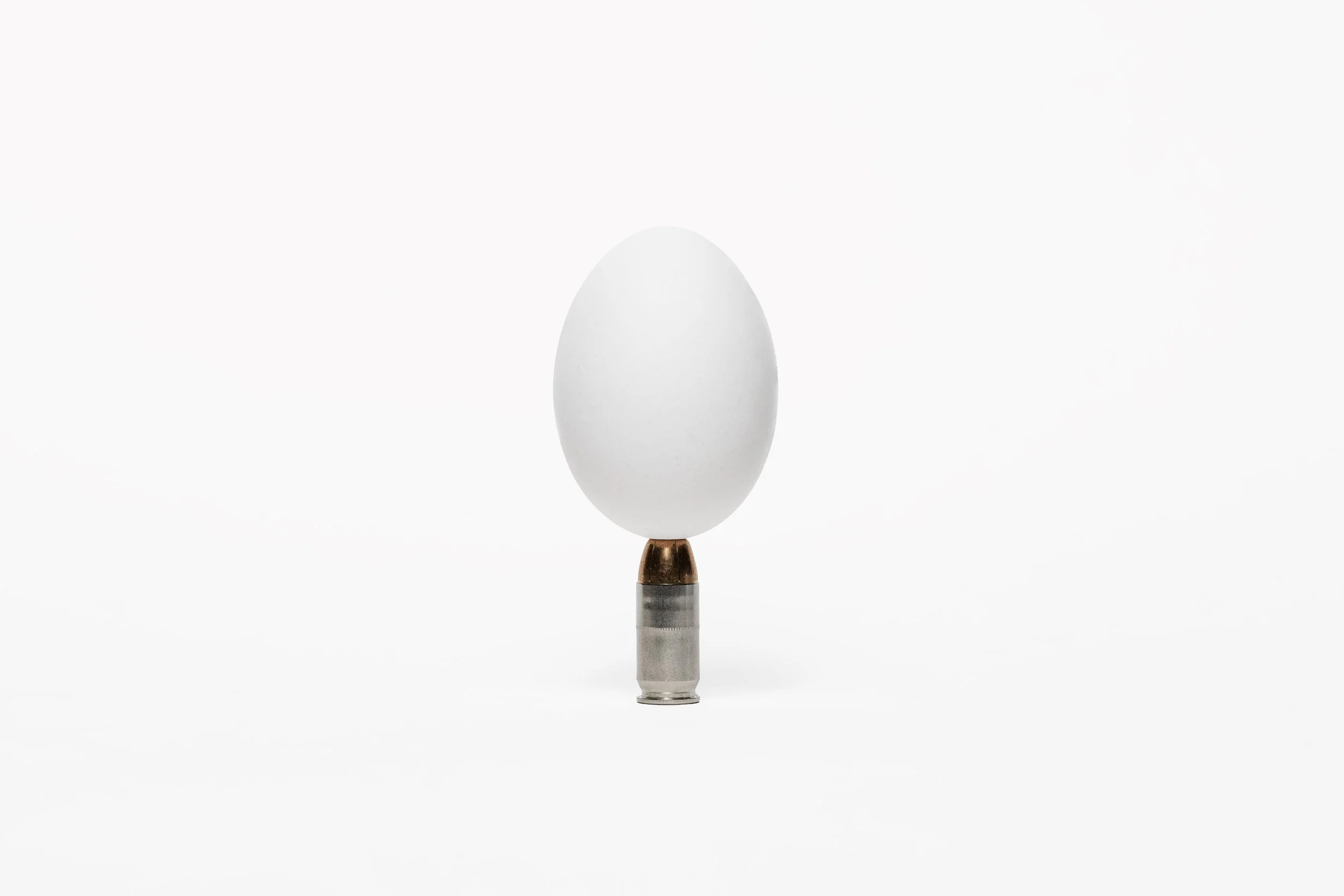 Egg On Bullet 2 2024.jpg