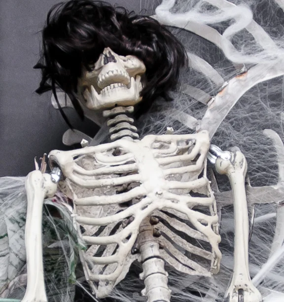 Bones