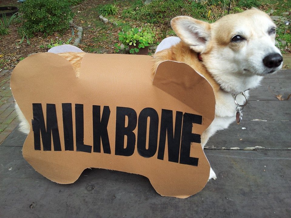 Lois Smith-Nikki The Milkbone.jpg