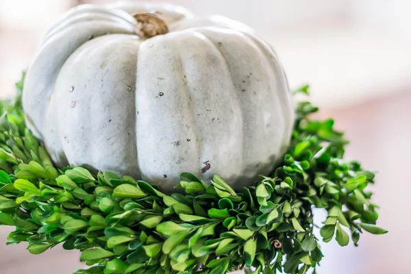 Living 511_Finally Fall Home Tour_2016_9.jpg