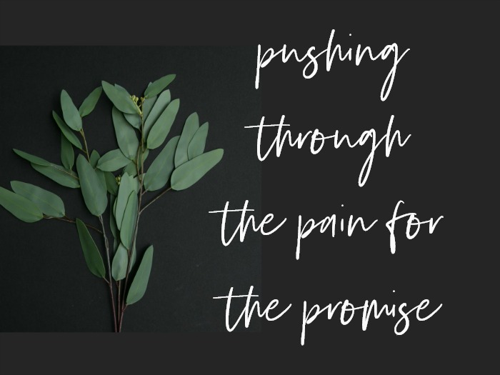 pushing through the pain for the promise.jpg
