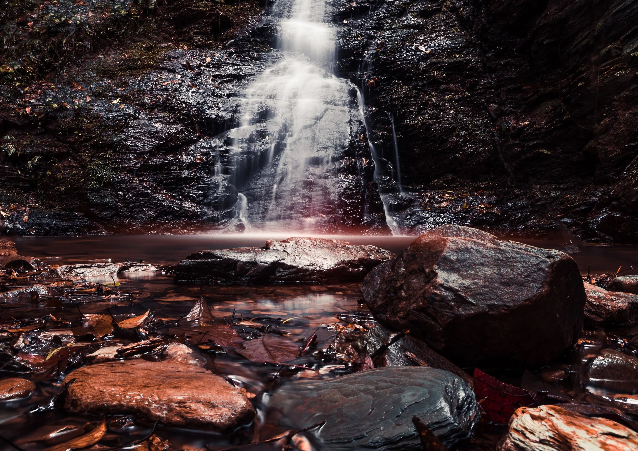 Photo Credit : Lee Yan Unsplash.com