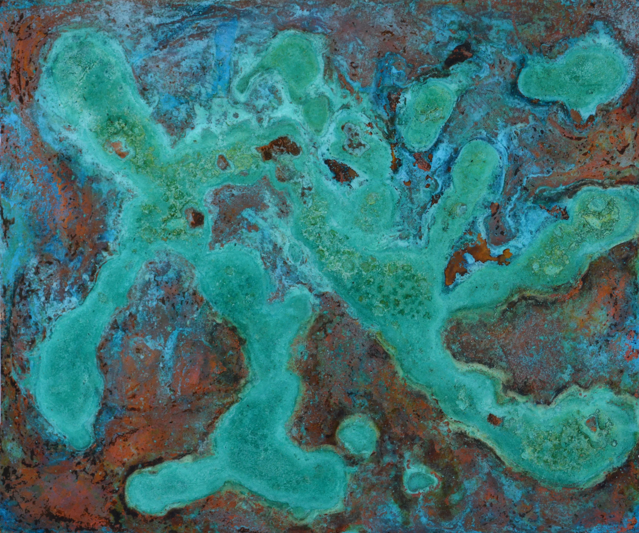 Cyanophyta Bloom