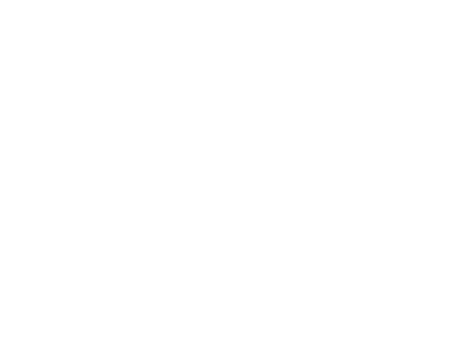 Rally Alaska