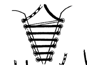 boot lacing.jpg