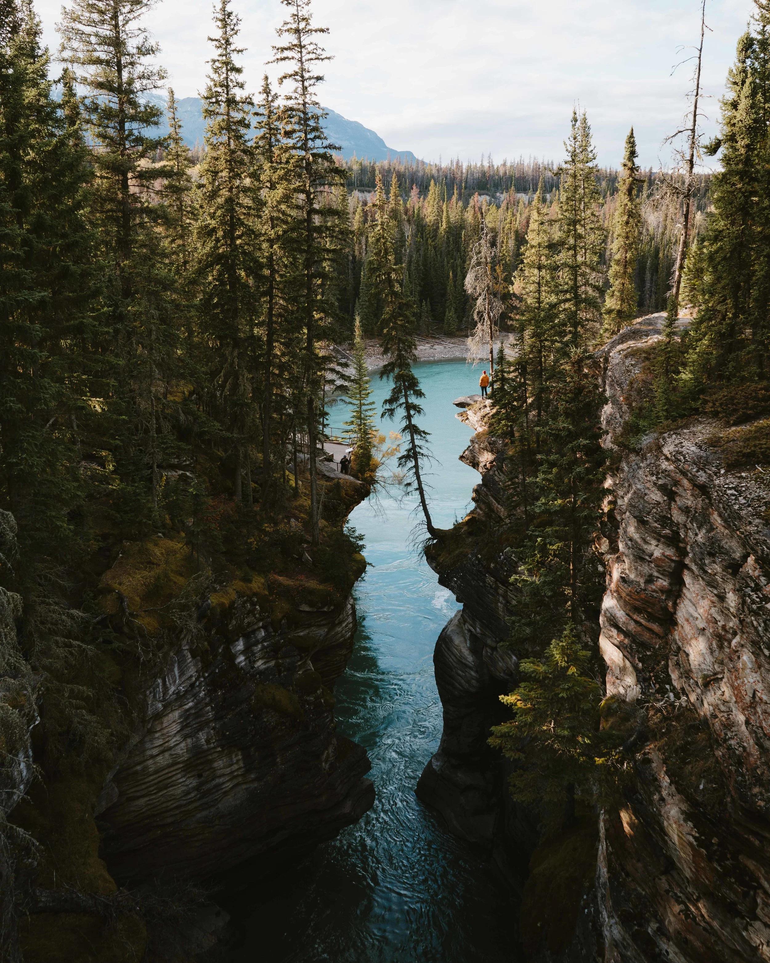 _HH_5334.jpg