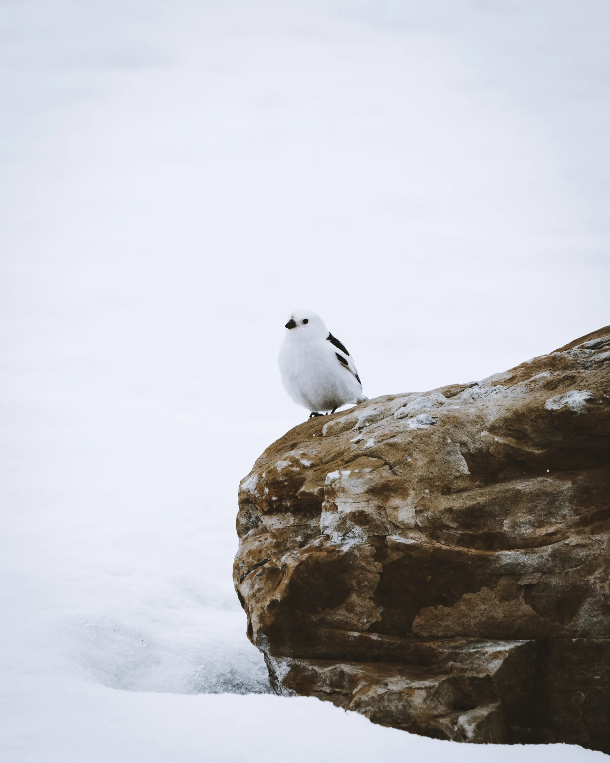 _HH_5560.jpg