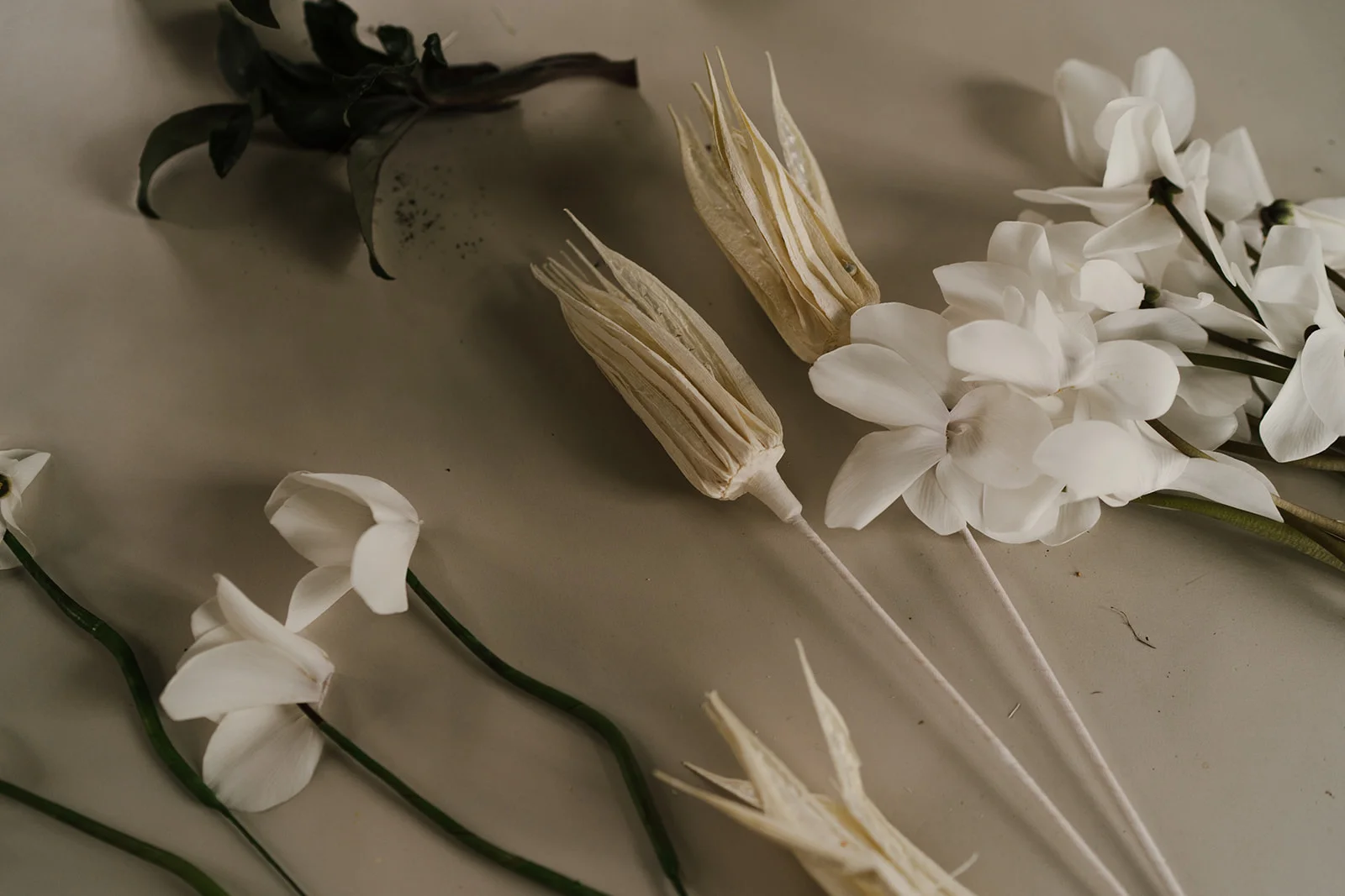 Hilde-Stories-Jessica-Williams-Photography-Still-Life-Flowers-5.jpg