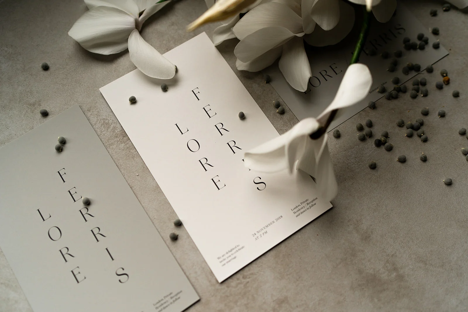 Hilde-Stories-Jessica-Williams-Photography-Still-Life-Flowers-16.jpg