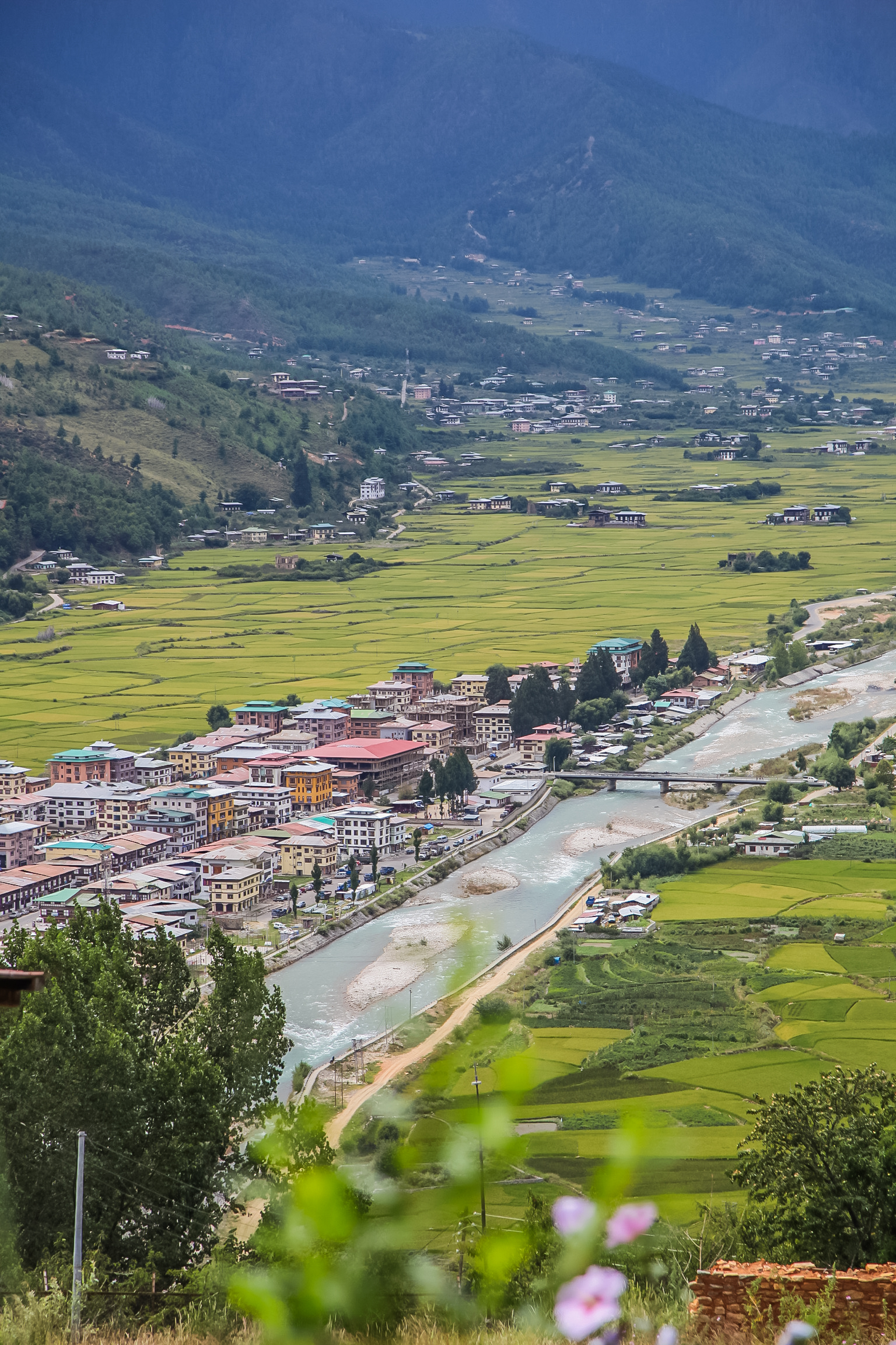  The town of Paro in the valley.    