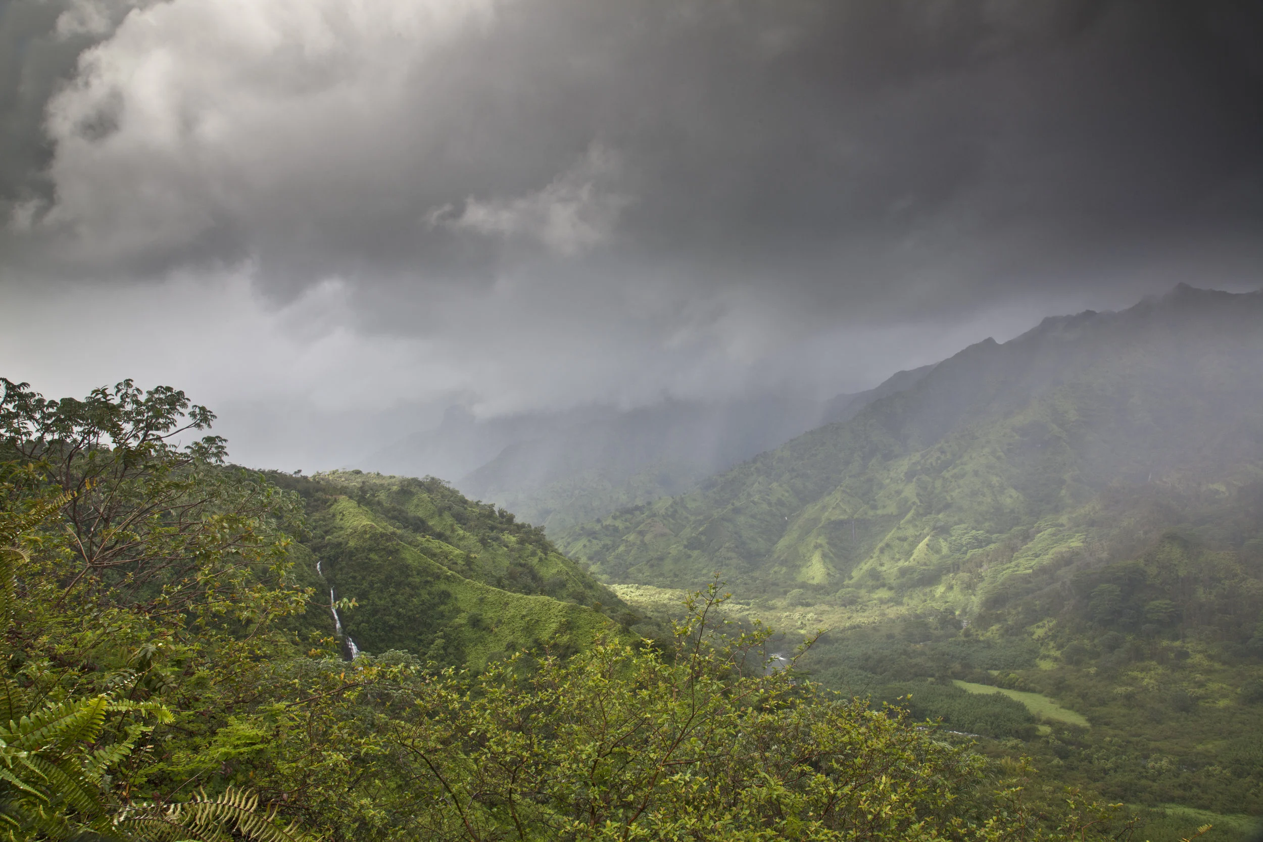 cool powerline valley 027.jpg