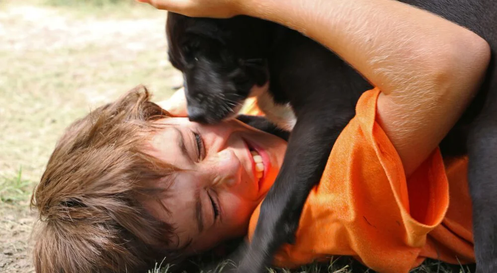 Alaqua Animal Refuge has so many adorable animals up for adoption!