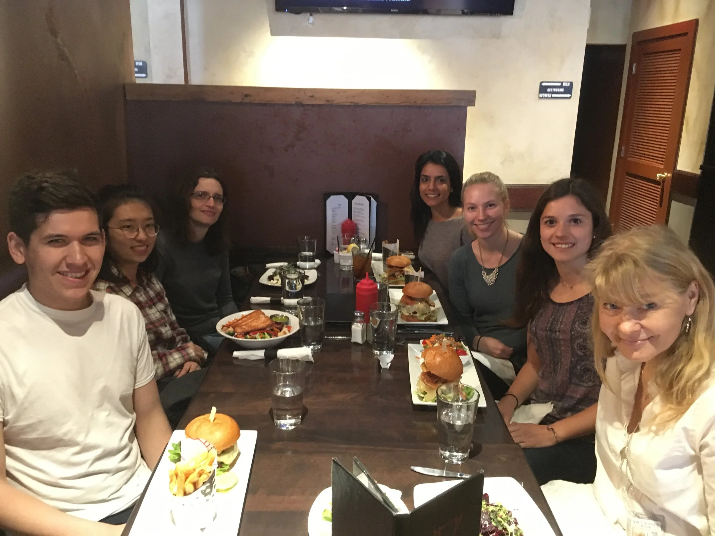 Lab lunch spring 2018 - Farewell to Sarah Healy!