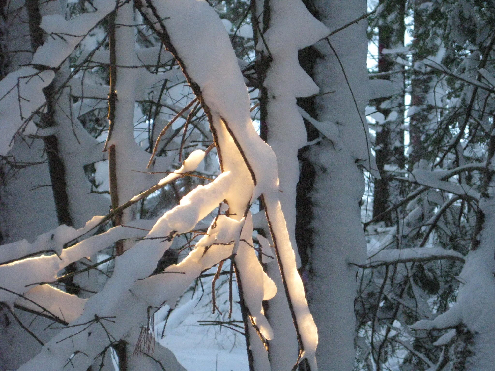 Holiday Schedule and a Big Thank You