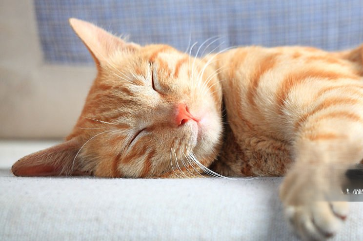 Qigong Class Schedule: March 30 - April 5, 2026