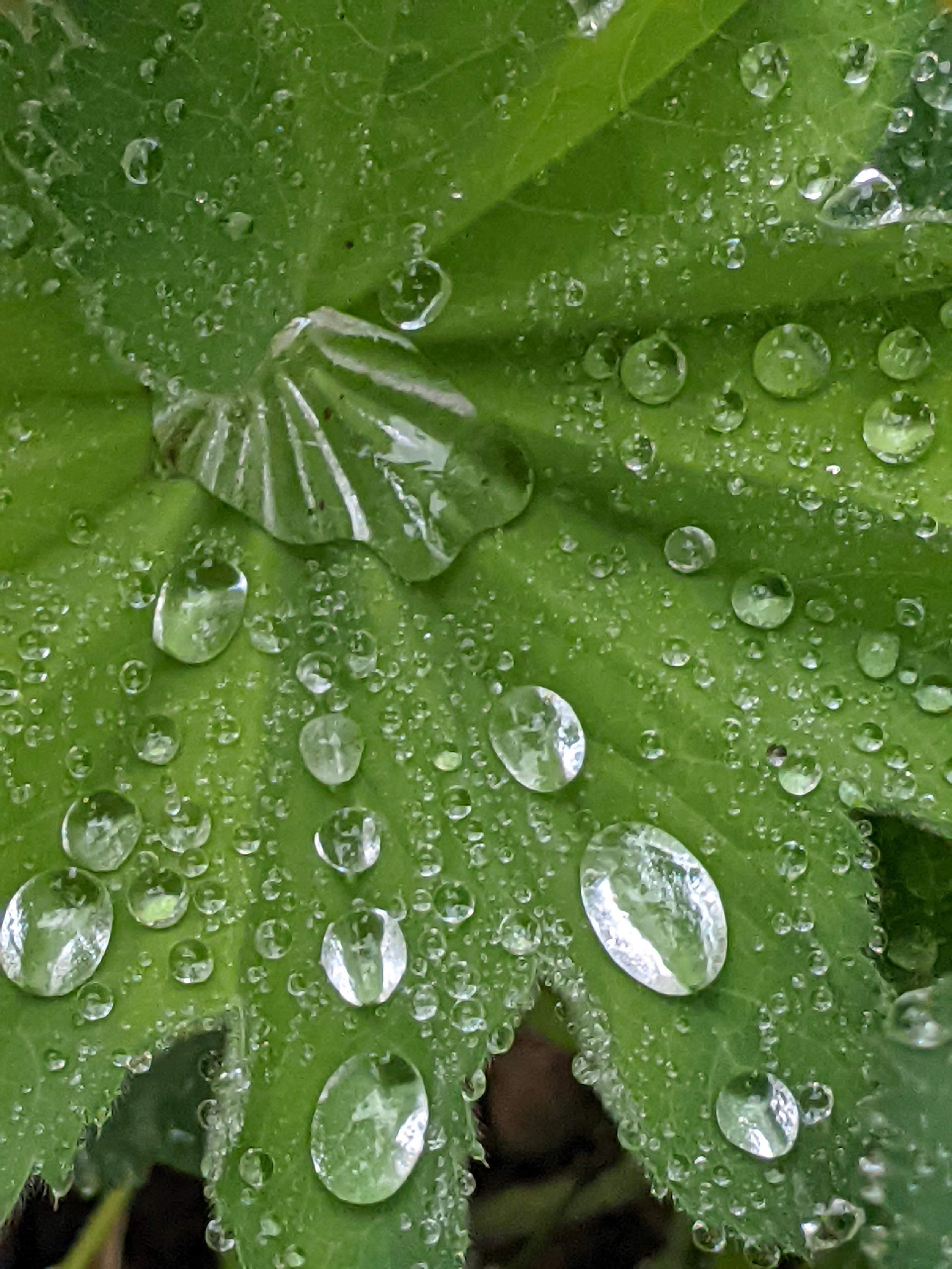 Rainy Day Going with the Flow