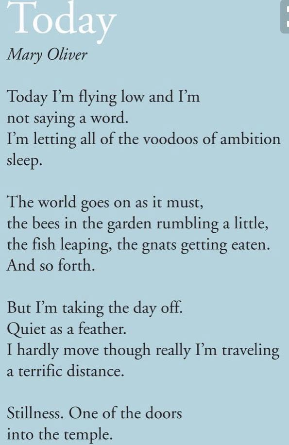 "...letting all of&nbsp;the voodoos of ambition sleep."