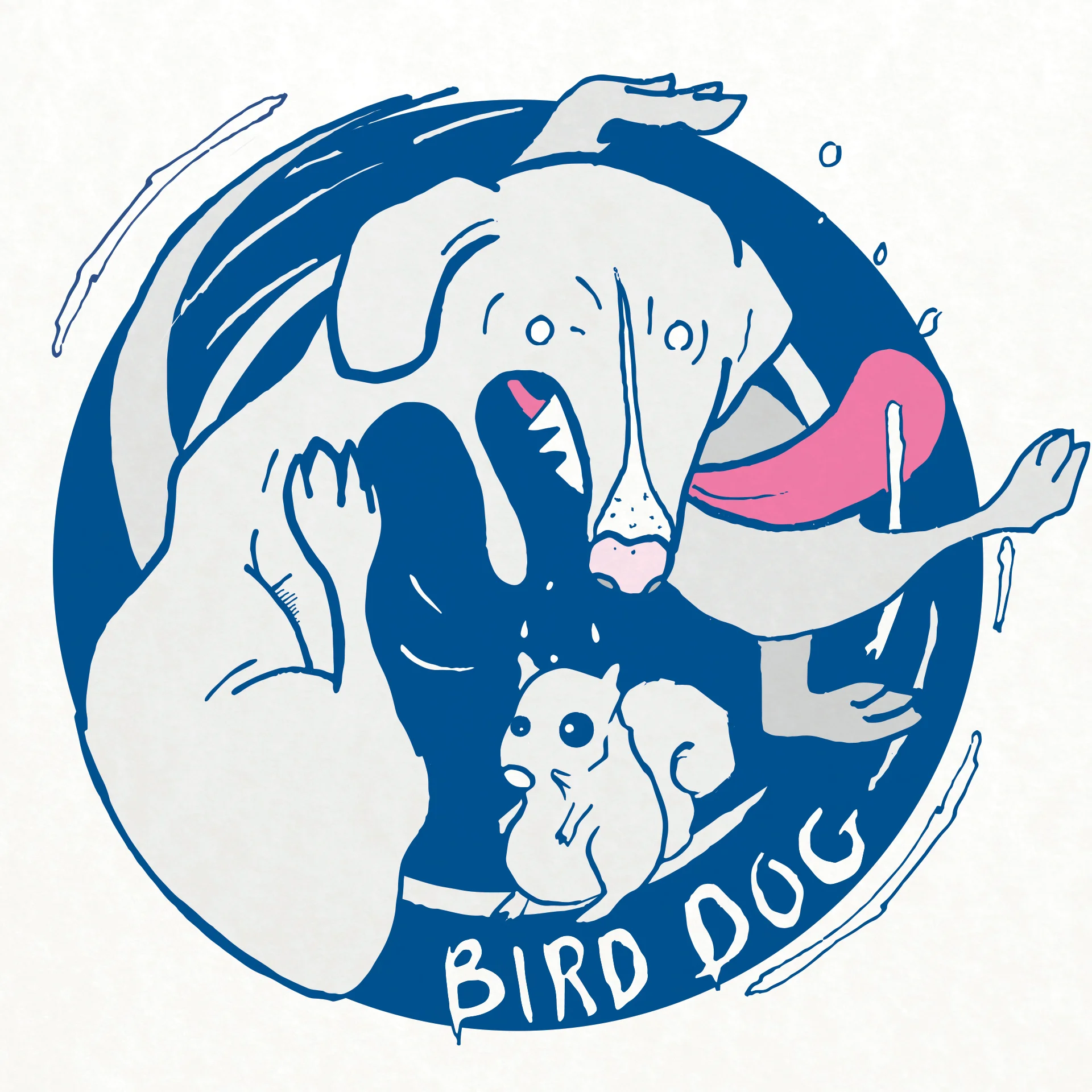 Bird-Dog_04.jpg