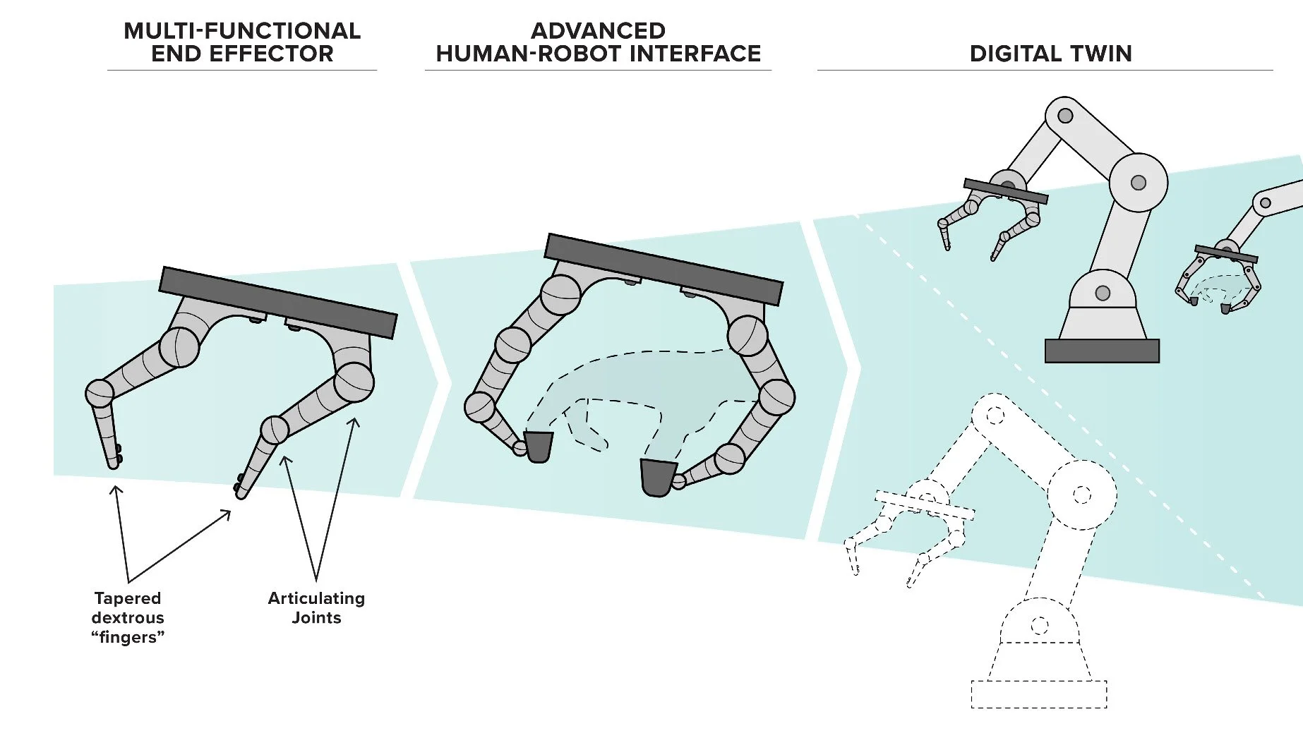 Visualizations & Infographics
