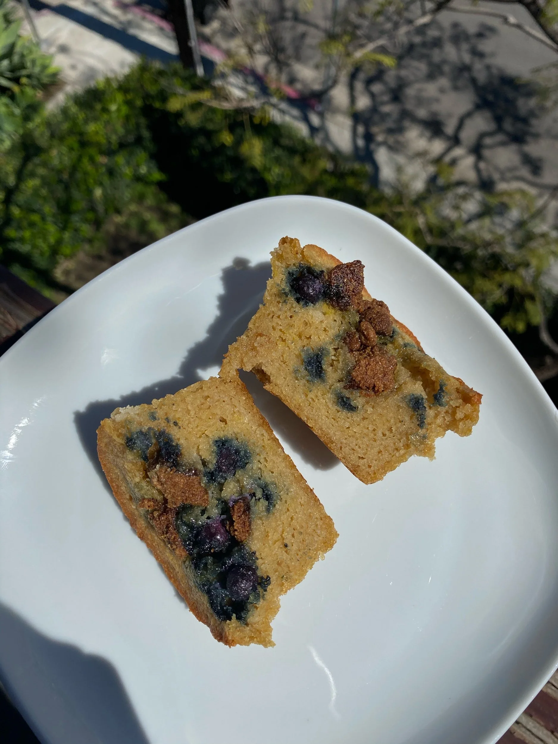 Paleo Blueberry Streusel Muffins