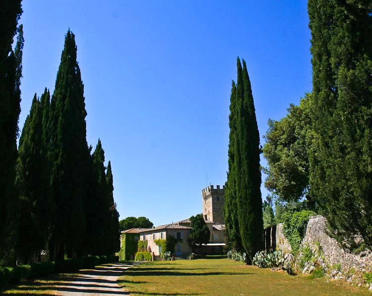 Classic Italian cyprus trees