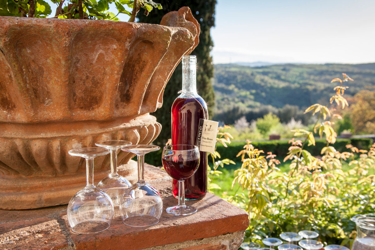 Wine with a view