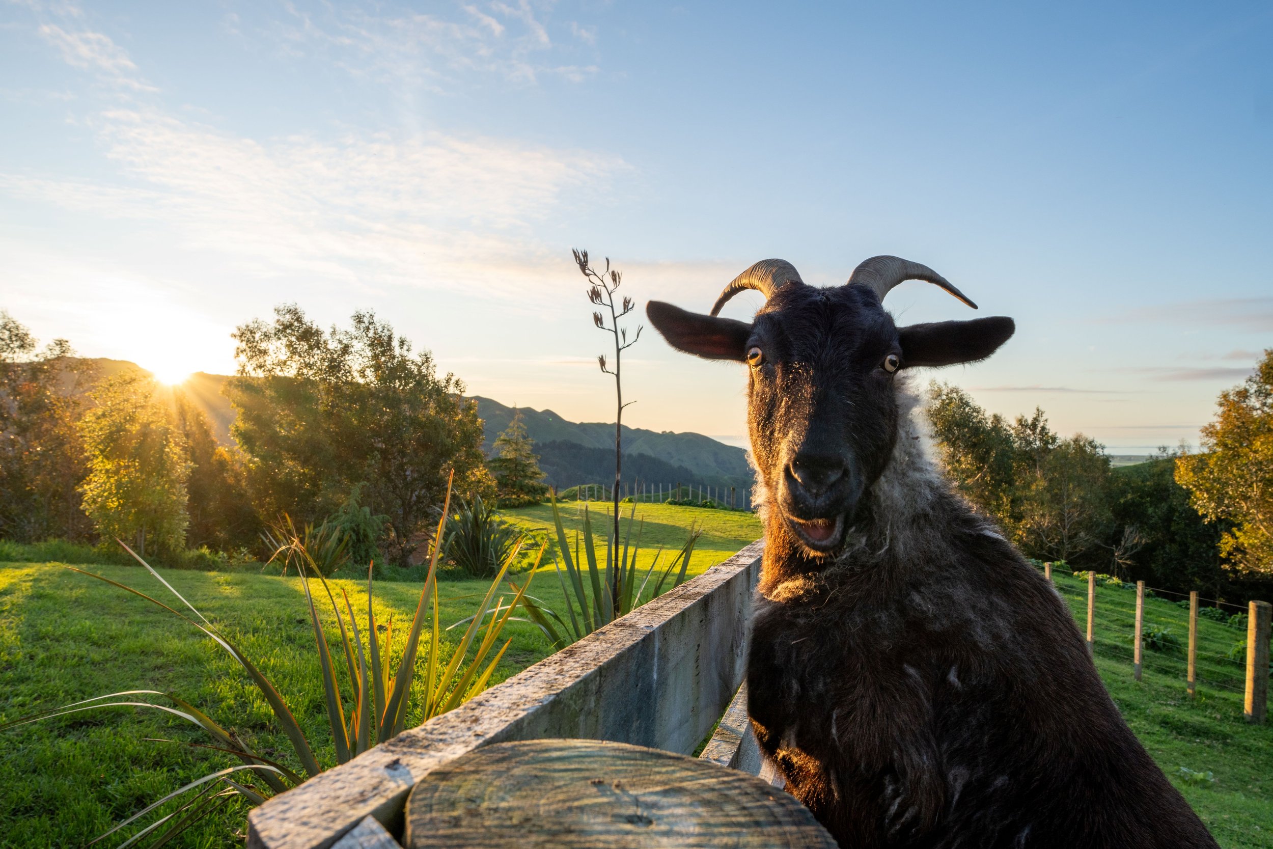 Yarn_Dirtfarm_cottages_R2_-64_resize.jpg