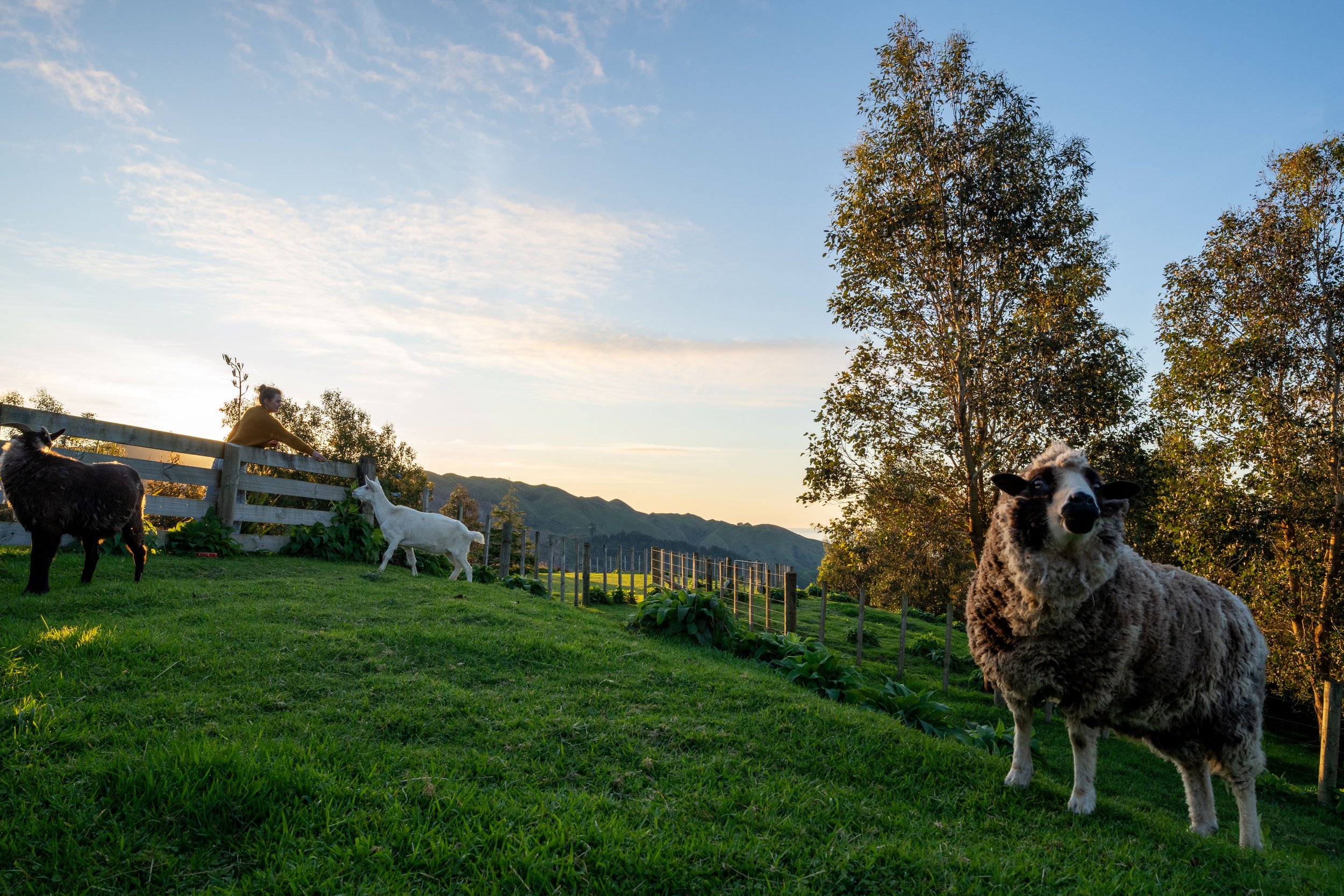 Yarn_Dirtfarm_cottages_R2_-65_resize.jpg