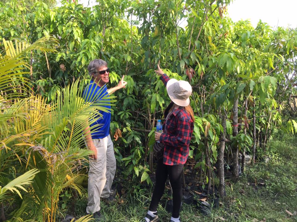 Buying Mango Trees To Be Planted By School