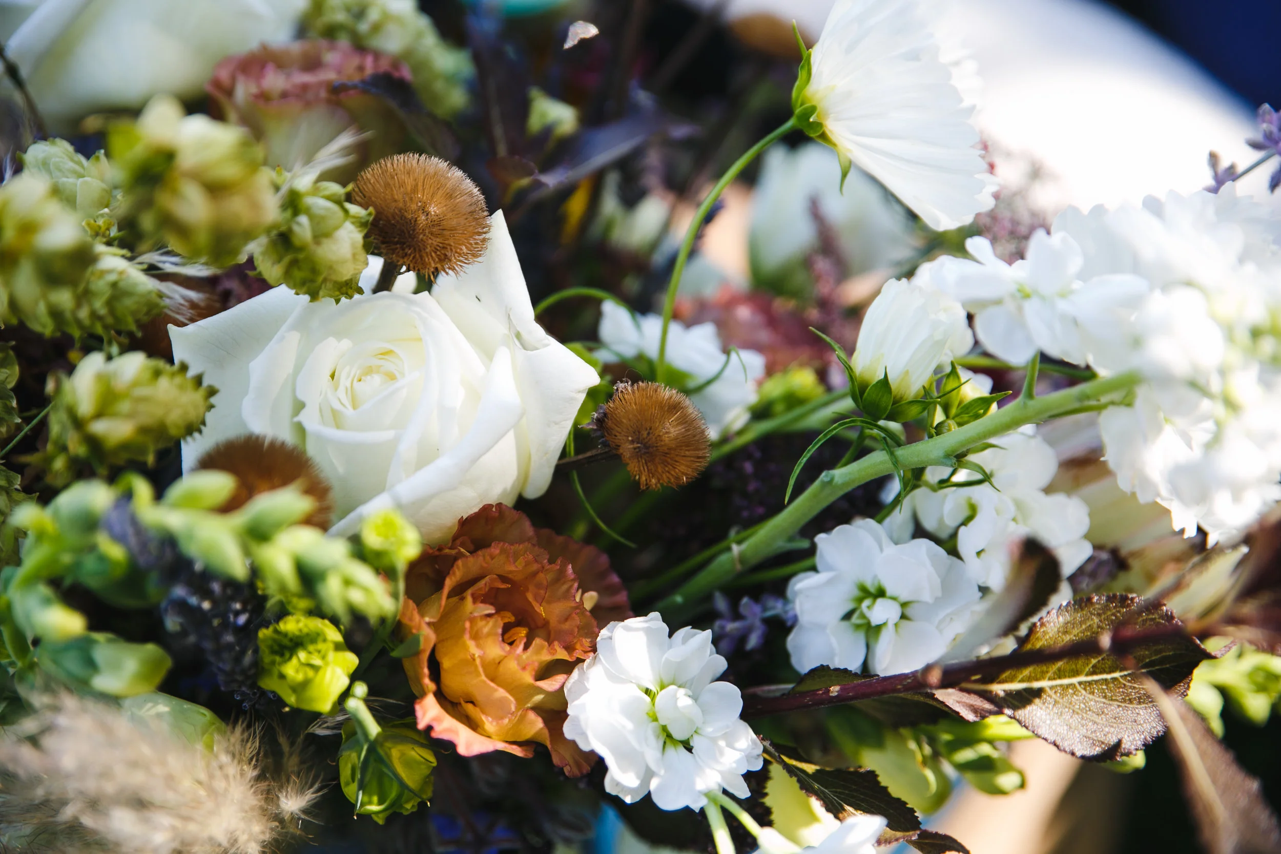 CD-Cathedral-Park-Portland-Elopement-TwistedAisleWeddings-248.jpg