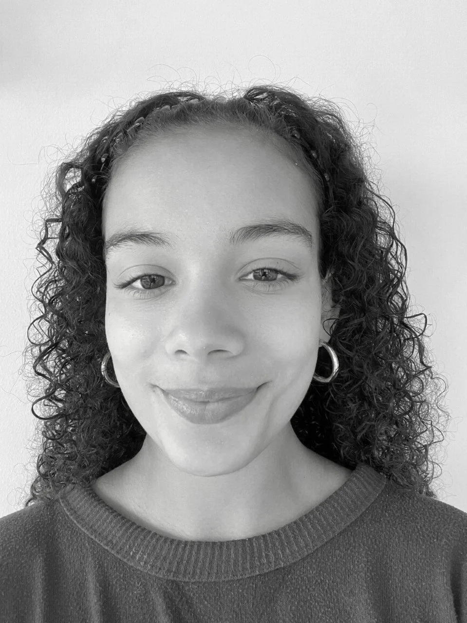 About — Illinois Justice Project