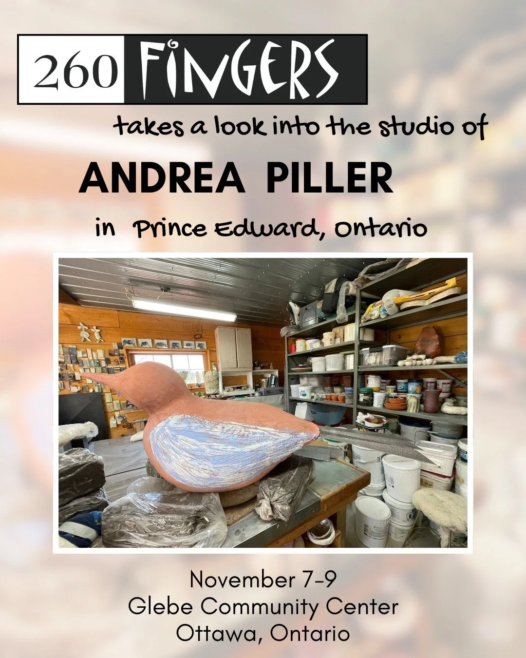 Andrea Piller
New vessels and sculptures from Andrea's studio. November 7th for opening night at 6pm, Saturday &amp; Sunday 10-5pm. 
#260fingers #canadianceramics #ontarioceramics #canadiansculpture